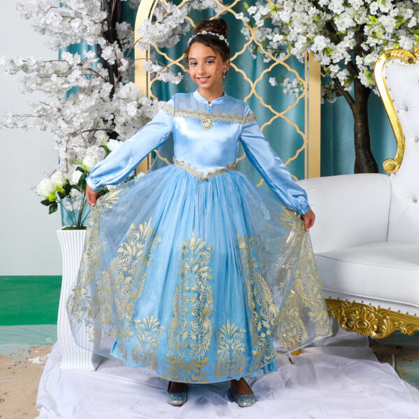 Party Centre – Golden Princess Cinderella Prestige Dress-Up Large 10-12 Year