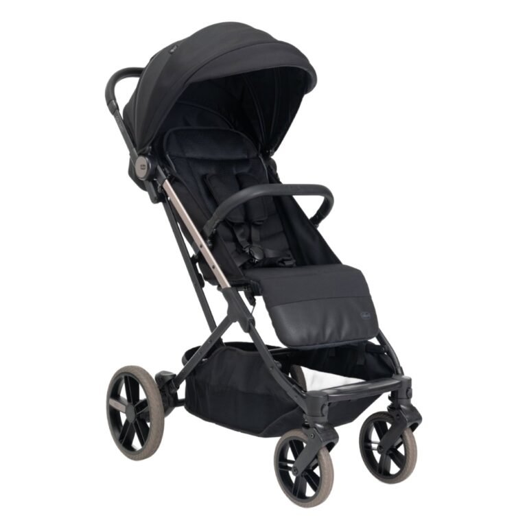 Chicco - Dolomiti Stroller 0m-4y, Charcoal