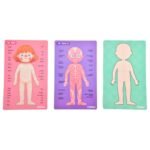 Mideer – Body Magnetic Puzzle – 90pcs
