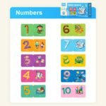 Mideer – Matching Puzzle – Number Cognitive