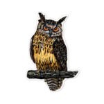 Avenir – Scratch Stickers -Bird Multicolour | Decorate and colour the 4 ferocious stickers with scratch art | For ages 3 years+