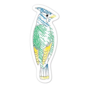 Avenir - Paint by Water - Bookmarks - Bird Multicolour | Paint by Water Art lets little ones discover easy, fun painting - with no mess! | Ages 3+