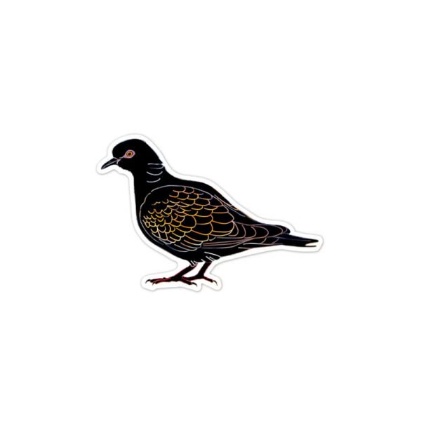 Avenir – Scratch Stickers -Bird Multicolour | Decorate and colour the 4 ferocious stickers with scratch art | For ages 3 years+