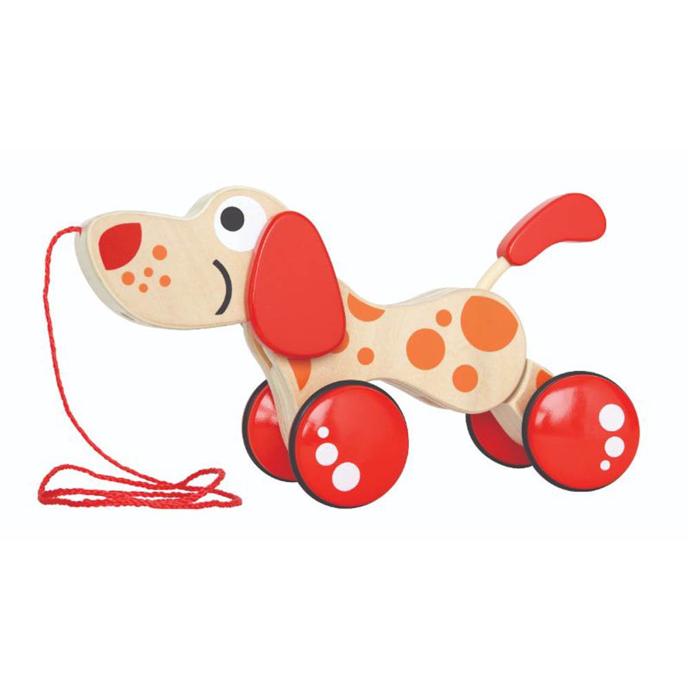 Hape – Walk-A-Long Puppy/Fsc