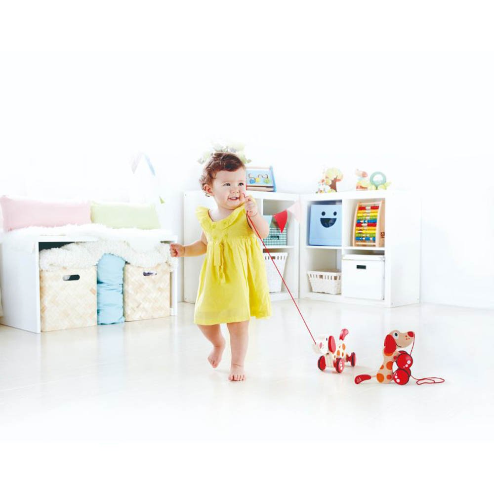Hape – Walk-A-Long Puppy/Fsc