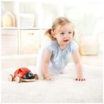 Hape – Wooden Ladybug-Themed Push and Pull-Along Toy