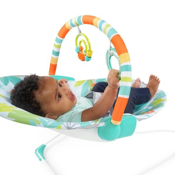 Bright Starts – Rainforest Vibes(Tm) Vibrating Bouncer