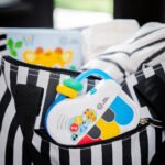 BABY EINSTEIN – PETIT PIANO MUSICAL PEG TOY
