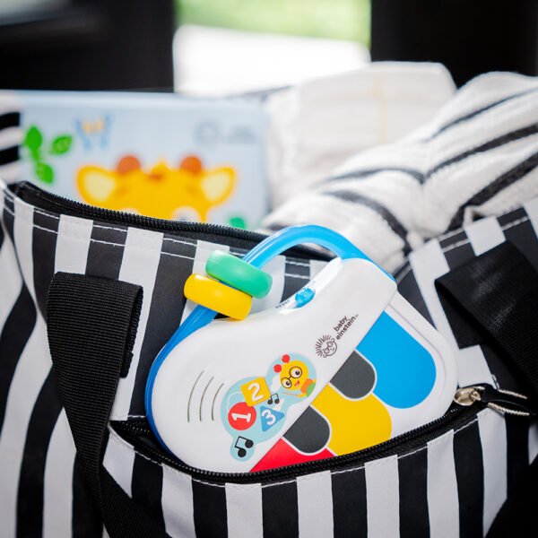 BABY EINSTEIN – PETIT PIANO MUSICAL PEG TOY