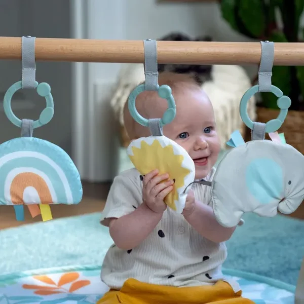 Ingenuity – Sun Valley Wooden Toy Arch & Play Mat, Nature-Inspired Baby Gym with Developmental Toys, Gender-Neutral