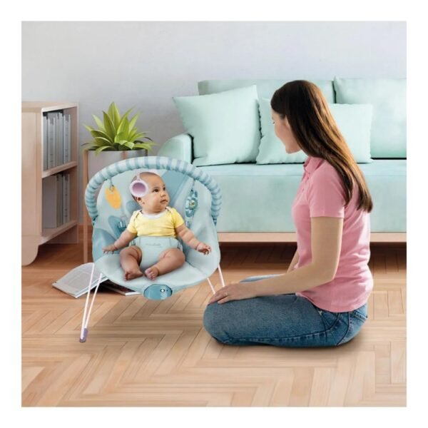 Asalvo Baby Bouncer – Mummy Coco, Comfortable & Safe Infant Seat