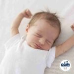 Cam -Playard, Baby Crib, Made In Italy With A Magical Back-Light Teddy Bear – Grey