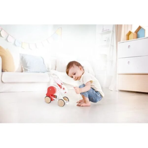 Hape – Push and Pull Bunny Wooden Pull Along Toy