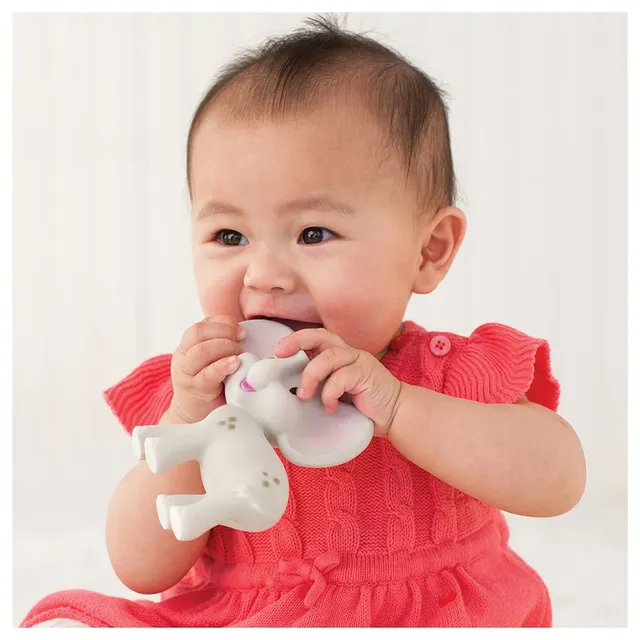 Infantino - Squeeze and Teethe Elephant