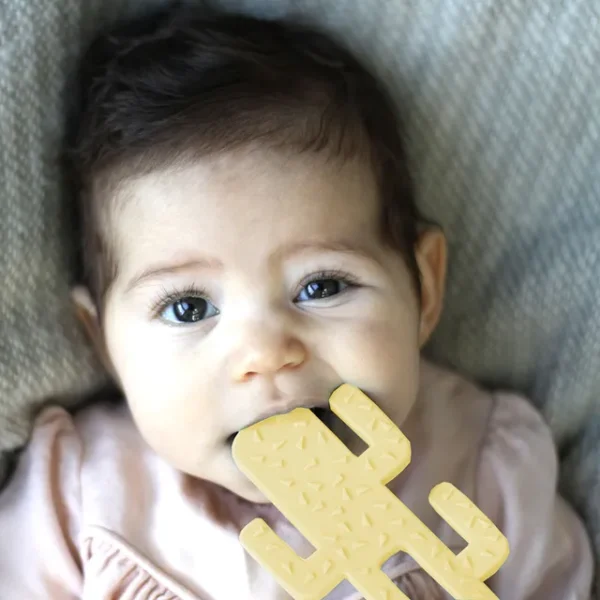 Minikoioi – Silicone Cactus Teether – Yellow