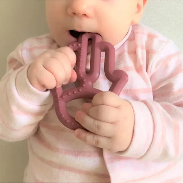 Minikoioi – Silicone Toothee Teether – Rose