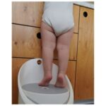 Mininor – Potty & Step Stool