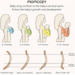 Momcozy Baby Wrap Carrier