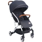 Bumble & Bird – Swyft Lightweight Travel Stroller – (0-3 Years) – Grey