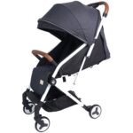 Bumble & Bird – Swyft Lightweight Travel Stroller – (0-3 Years) – Grey
