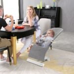 Bumble & Bird – Automatic Portable Baby Swing and Bouncer