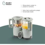 Babymoov – Nutribaby Glass 4 In 1 Eco Food Station – Celadon Green