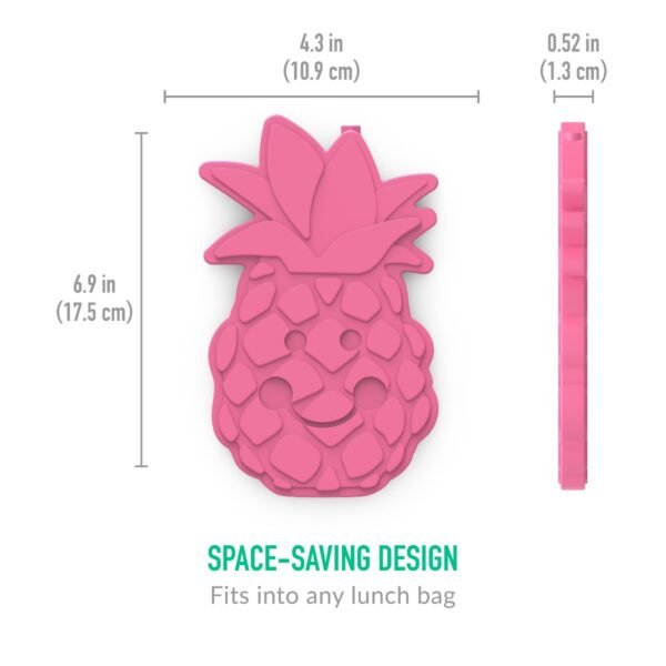 Bentgo – Buddies Reusable Ice Pack – Fruit, Pack of 4