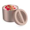 Bentgo – Stainless Steel Insulated Food Container – Rose Gold