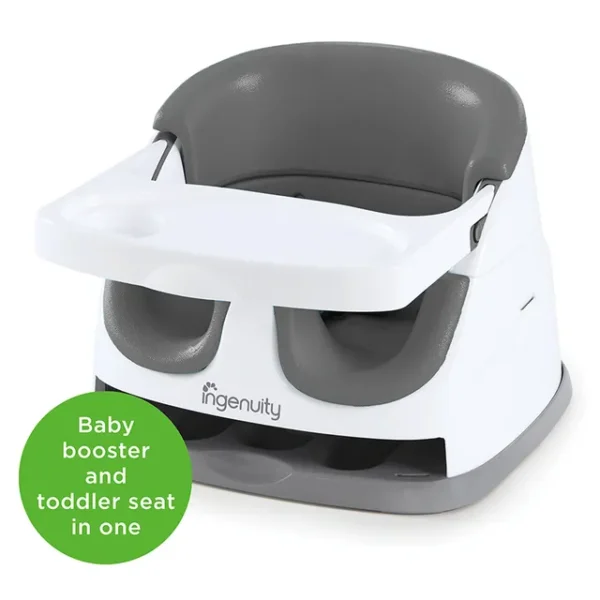 Ingenuity – Baby Base 2 in 1 Seat Slate