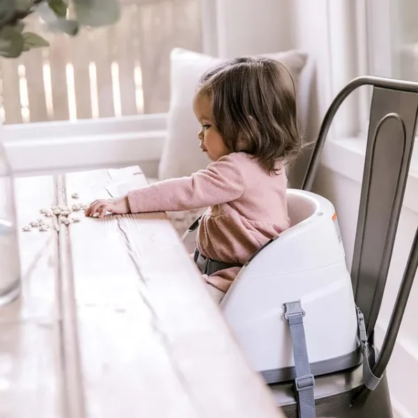 Ingenuity – Baby Base 2 in 1 Seat Slate