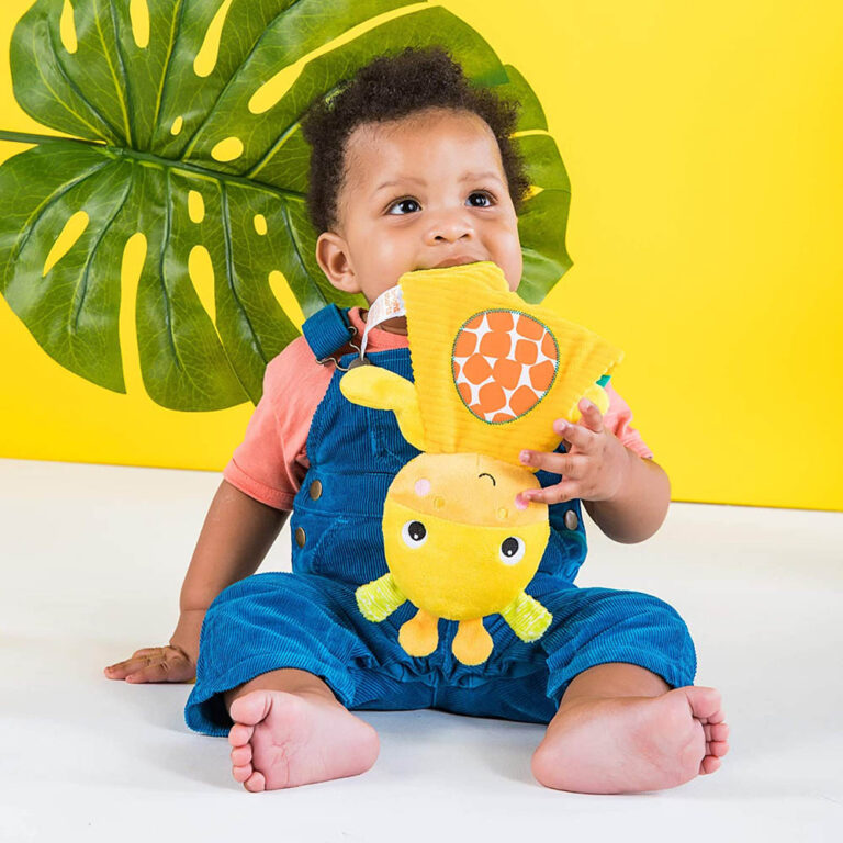 Bright Starts - Snuggle & Teethe Giraffe