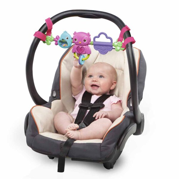 Bright Starts – Busy Birdies Carrier Toy Bar Toy – Black