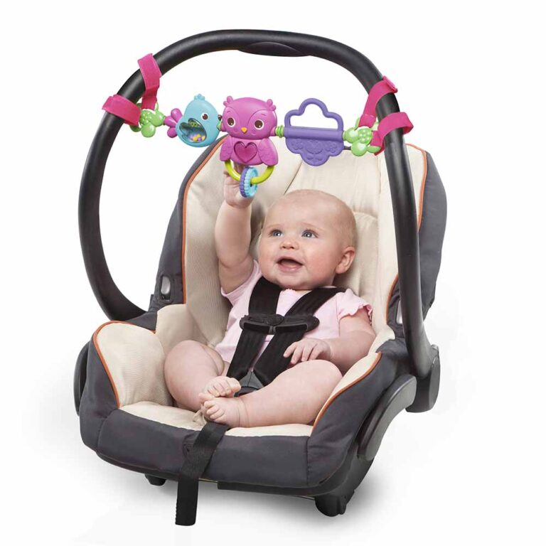 Bright Starts - Busy Birdies Carrier Toy Bar Toy - Black