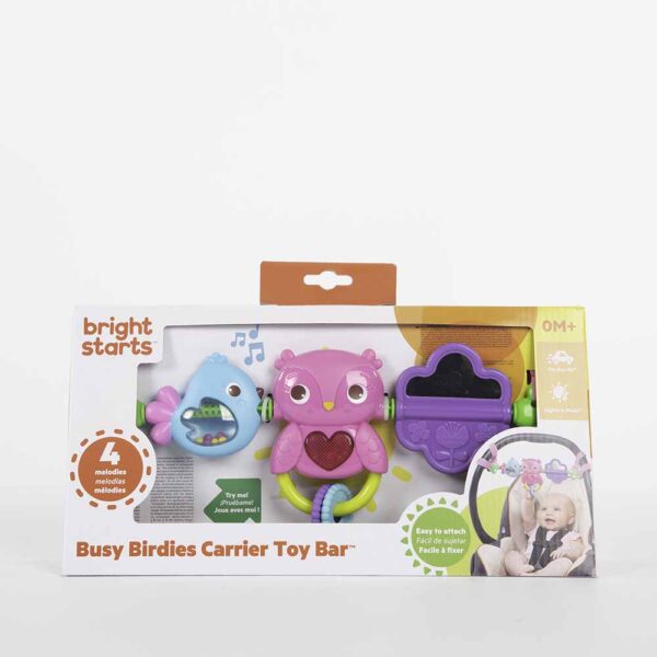 Bright Starts – Busy Birdies Carrier Toy Bar Toy – Black
