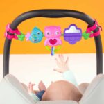 Bright Starts – Busy Birdies Carrier Toy Bar Toy – Black