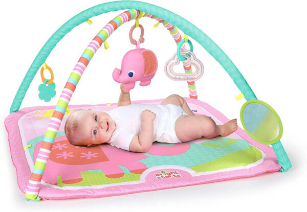 Bright Starts – Fanciful Flowers Activity Gym Refresh