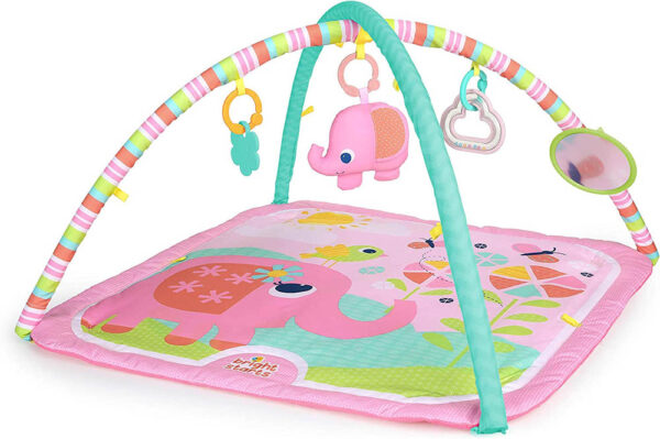 Bright Starts – Fanciful Flowers Activity Gym Refresh
