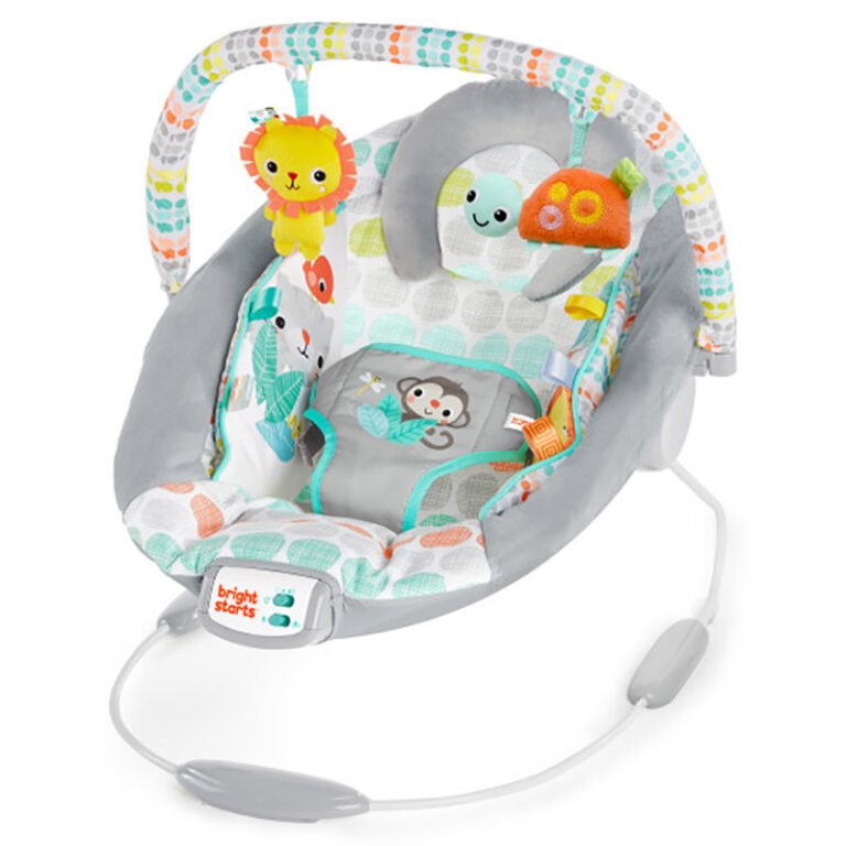 Bright Starts - Whimsical Wild - Cradling Bouncer