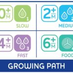 Chicco – Physio Teat Silicone 6m+ Food Flow 2Pcs
