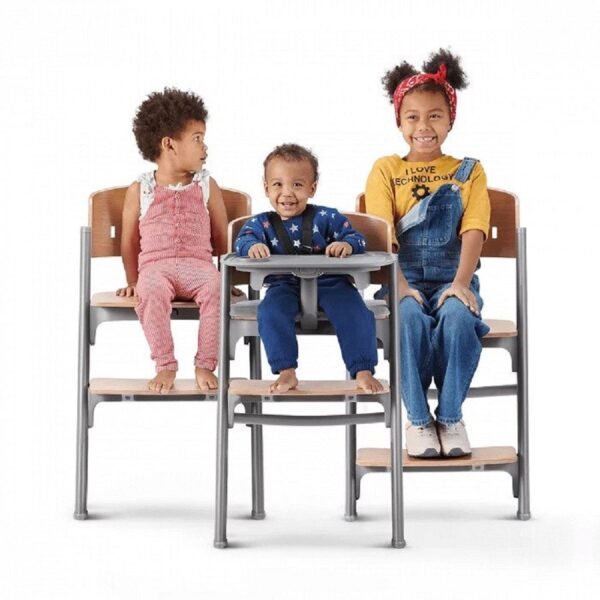 Kinderkraft – High Chair Livy Aster Pink