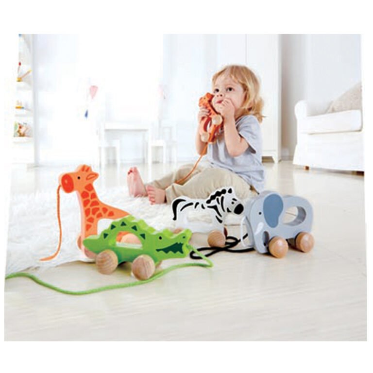 Hape - Elephant-Themed Push & Pull Along Toy