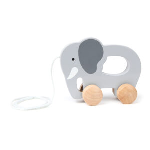 Hape – Elephant-Themed Push & Pull Along Toy