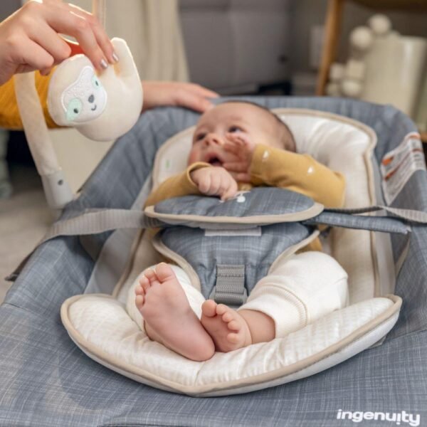 Ingenuity – Happy Belly Rock-to-bounce Massage Seat – Parker