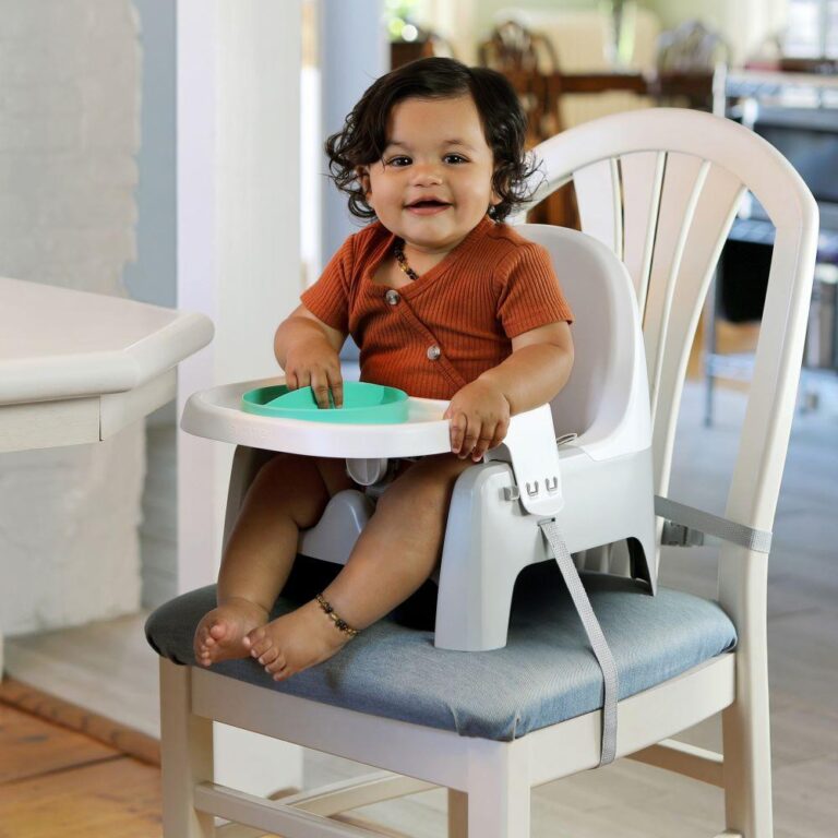 Ingenuity - ITY by Ingenuity Deluxe Learn-to-Dine Feeding Seat