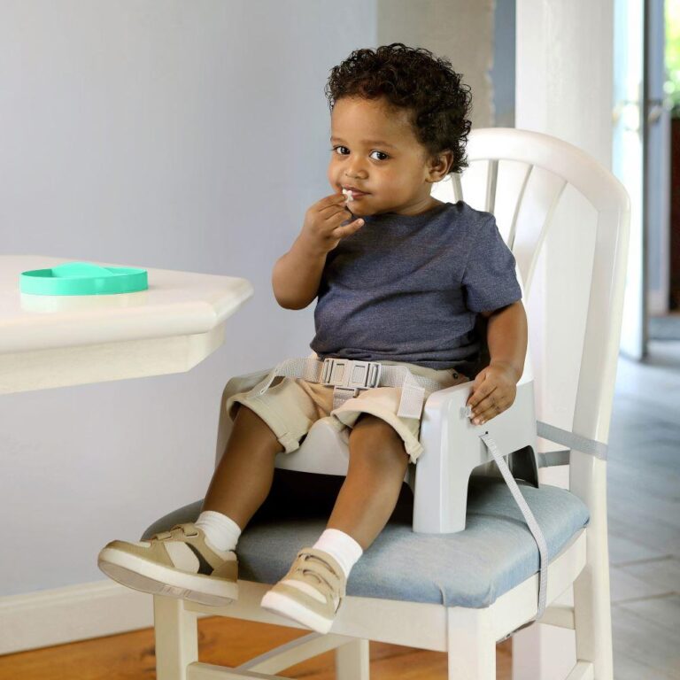 Ingenuity - ITY by Ingenuity Deluxe Learn-to-Dine Feeding Seat
