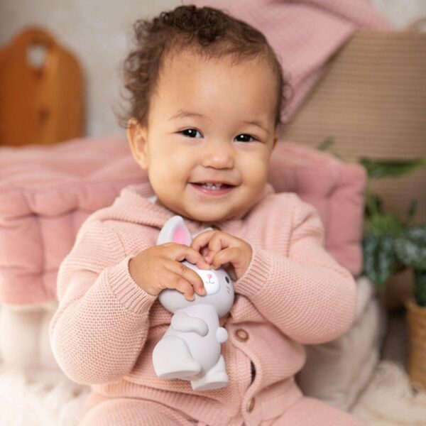 Ingenuity – Sylvi Natural Rubber Teether Toy