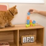 Little Story Wooden Activity Box Early Education Montessori 12 Pcs – Multicolor