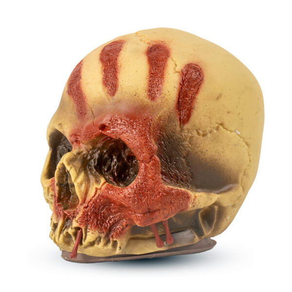 Mad Toys – Handprint Bloody Skull – Halloween Decoration