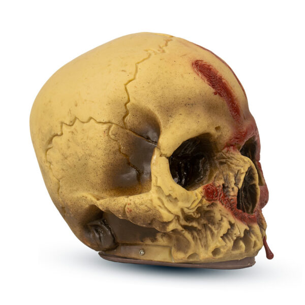 Mad Toys – Handprint Bloody Skull – Halloween Decoration