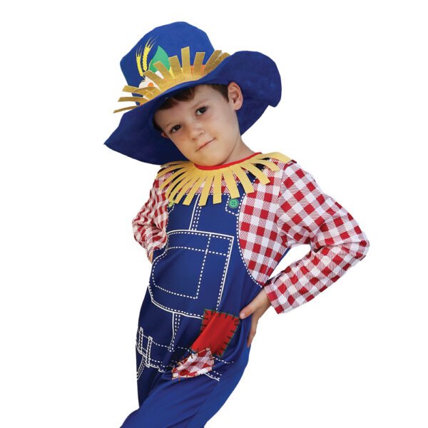Mad Toys – Scarecrow Boy Book Week Costumes for Kids